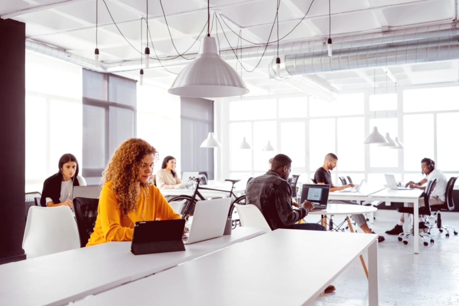 Praktische SEO-Audit-Übung mit realen Website-Analysen